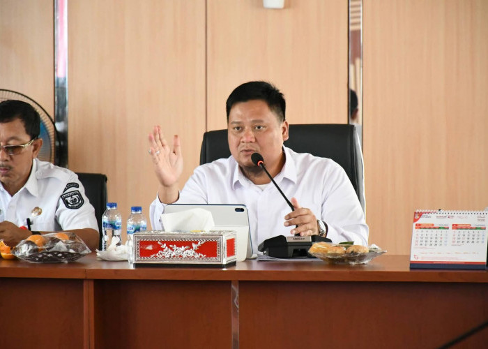 Bertambah, Posisi Kepala OPD di Pemkab Banyuasin Kosong, Didominasi PLT