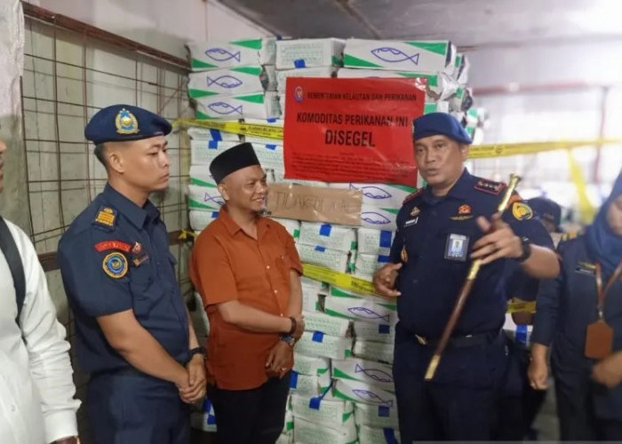 Tidak Sesuai Peruntukkan, 11,3 Ton Ikan Beku Impor Dalam Tiga Gudang di Palembang Disegel KKP