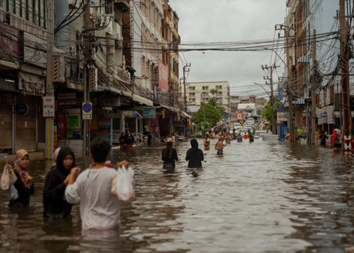 Banjir Kepung Thailand, Buaya-Ular Bermunculan