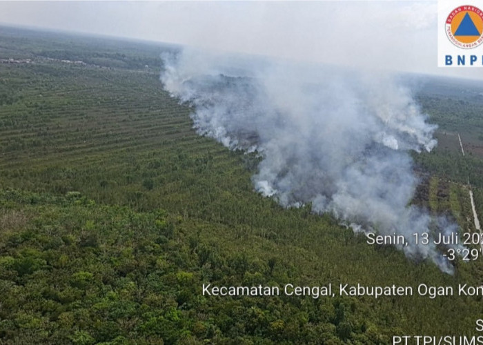 Terpantau Hari Ini 5 Hektar Lahan di Cengal OKI Terbakar