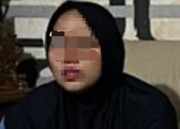 Bisnis Ayam IRT di Palembang Sampai Tertipu Rp1 Miliar Lebih, Dijanjikan Untung Rp750 Ribu per Hari 