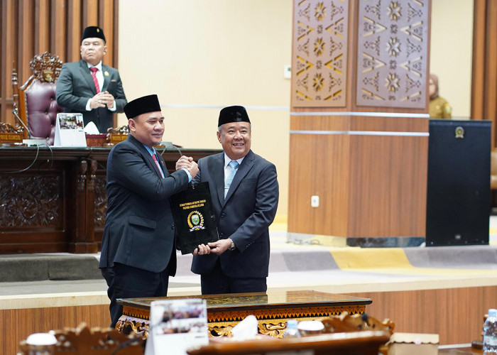Wagub Cik Ujang Tegaskan Komitmen Pemprov Sumsel Wujudkan Raperda Responsif Gender dan Anak