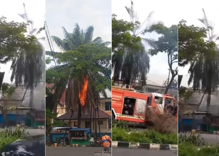 Api Muncul di Dekat Gereja HKBP Palembang, Ternyata Pohon Palem yang Terbakar