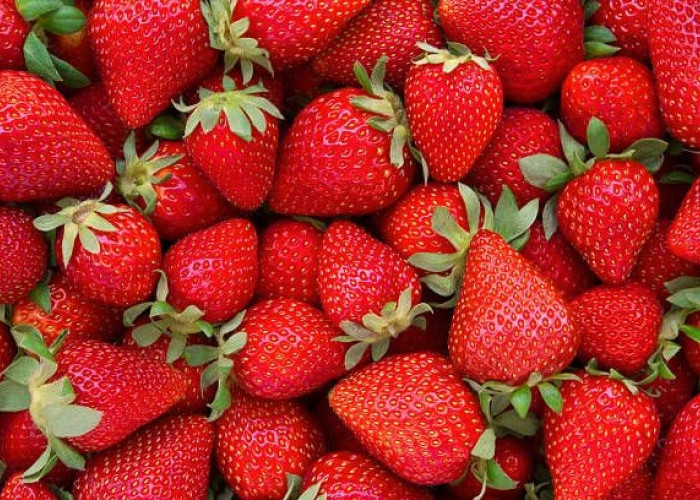  Beberapa Manfaat Mengkonsumsi Buah Strawberry, Buat yang Suka Lupa Cocok Banget Loh!