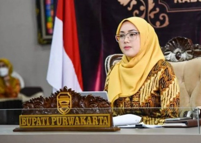 Anggota DPR RI Dedi Mulyadi Digugat Cerai Bupati Purwakarta Anne Ratna Mustika