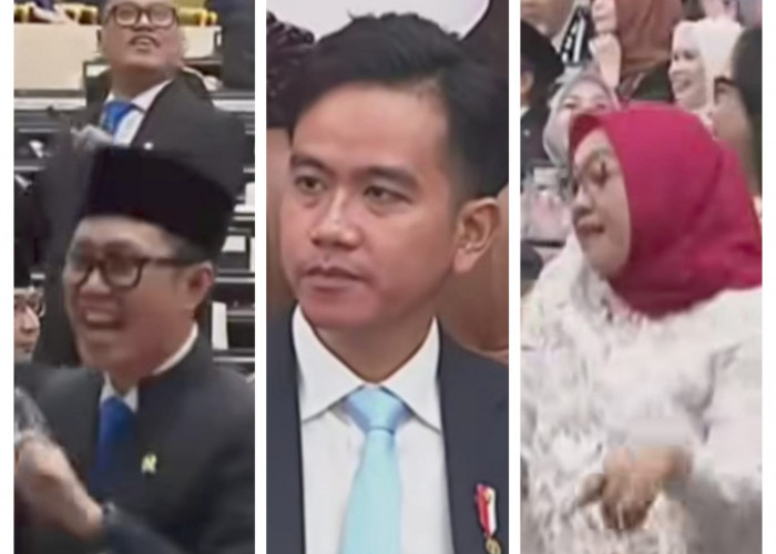 Momen Wapres Gibran Melongo Saat Saksikan Anggota DPR RI Berjoget Gembira Usai Gaji Naik Rp 3 Juta Per Hari