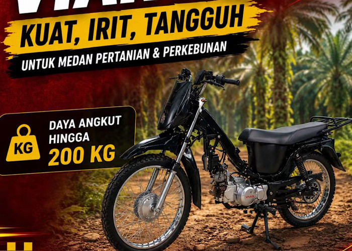 Partner Kerja di Kebun Terbukti Nyaman, VIAR R2K Kuat 200 Kg Angkut Hasil Panen