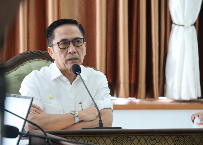 Pohon Tumbang di Palembang Telan Korban, Ratu Dewa Nyatakan Duka Mendalam, Wanti-wanti OPD Terkait