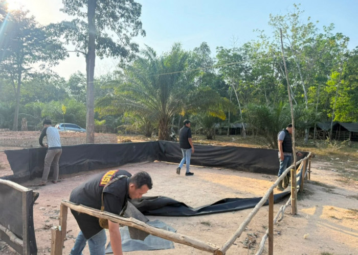 Arena Sabung Ayam di Desa Kayu Labu OKI Dibongkar Polisi
