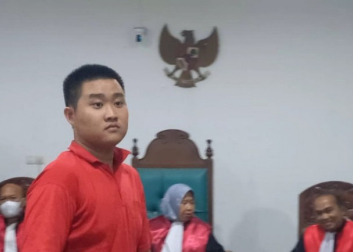 Sales Marketing Gelapkan 13 Ton Bleaching Earth 'Pemutih' Solar, Hakim Incar Penadah