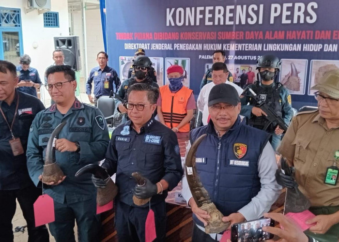 Gakkum KLHK dan Polda Sumsel Gagalkan Transaksi Penjualan Cula Badak dan Pipa Gading Gajah