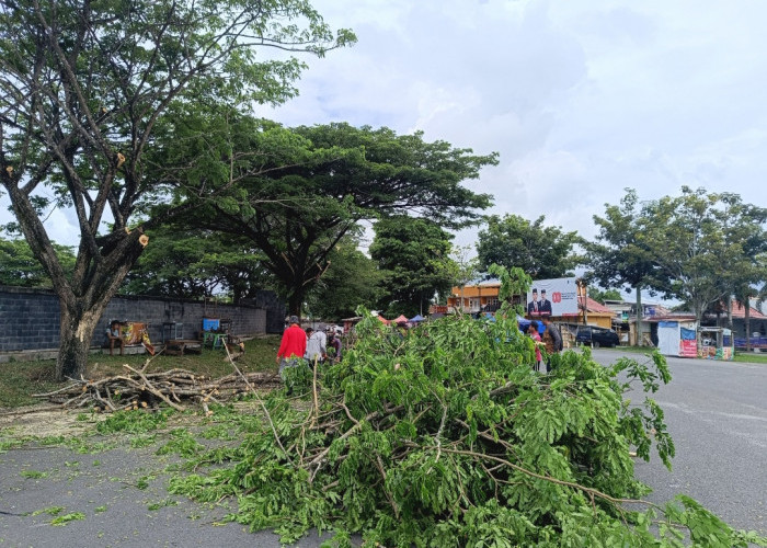 Jelang HUT Kabupaten OKI, Pohon Besar di Taman Segitiga Emas Kayuagung Dipangkas