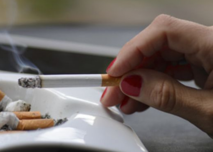 Selain Dukung Program Pemerintah, Ada 5 Manfaat Merokok Bagi Kesehatan, Kelimanya Hindari Penyakit Berbahaya