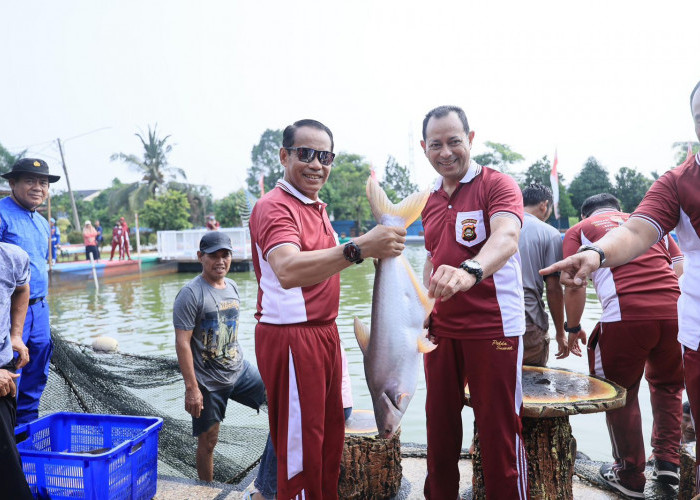 Dukung Misi Asta Cita, Usai Panen Raya Polda Sumsel Tebar Bibit 50.000 Ekor Bibit Ikan di Kolam Pakri