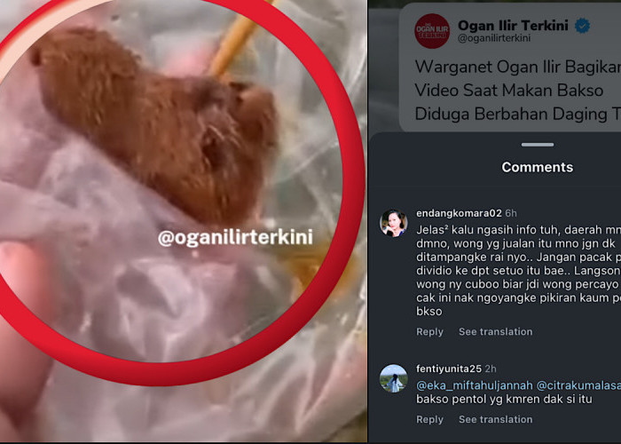 Bikin Trauma, Video Cewek Unggah Sisa ‘Bakso Tikus’ Diduga Dijual Pedagang di Acara Jalan Santai HUT Ogan Ilir