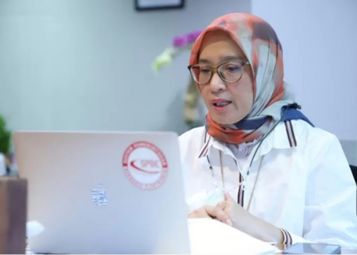 Aturan Terbaru MenPAN RB: Gaji dan Kontrak PPPK Paruh Waktu untuk Honorer yang Gagal CPNS dan PPPK 2024
