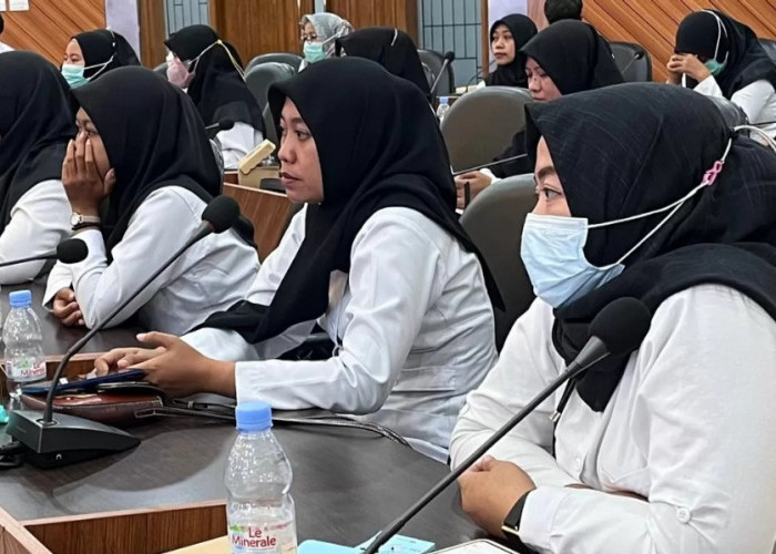 Tenaga Honorer Diangkat PPPK 2024 Dapat Jaminan Ini, Apa! 