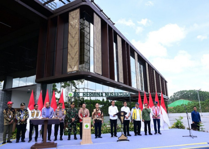 Istana Negara dan Rumah Sakit di IKN Diresmikan, Apakah ASN Segera Menyusul?