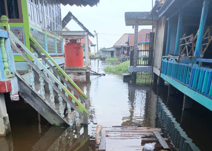 Puluhan Rumah di Jejawi OKI Terendam Banjir, Aktivitas Warga Terhambat