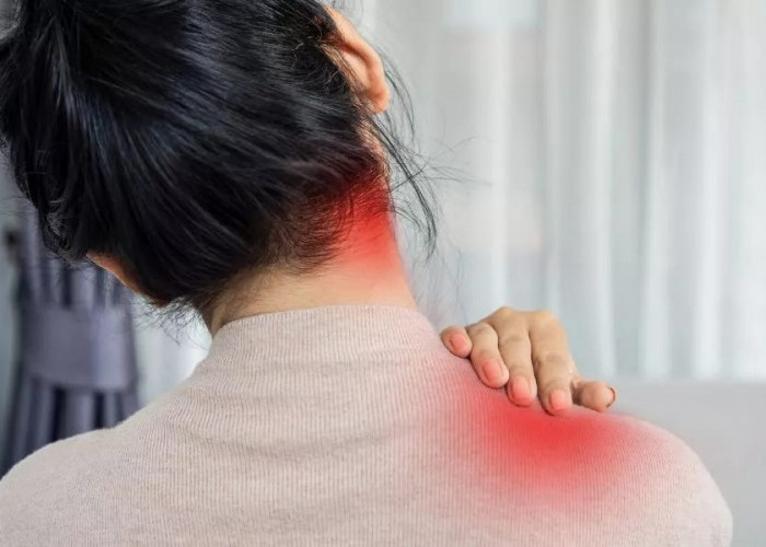 Ampuh Turunkan Kolesterol Usai Lebaran, Konsumsi 7 Makanan Berikut 