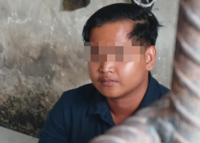 Pedagang Ayam di Palembang Ditangkap Polisi, Kasusnya Tak Diduga, Korban Rugi hingga Rp384 Juta Lebih