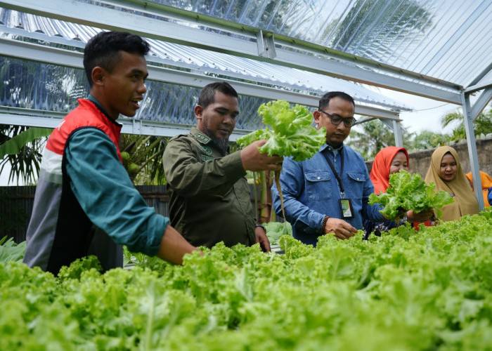 Dari Budidaya Lele hingga Green Laundry, Begini Cara Kilang Dumai Sejahterakan Masyarakat