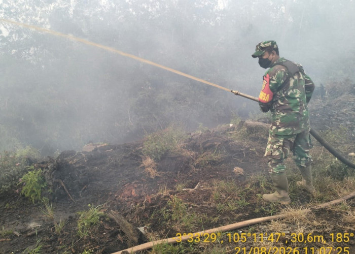 TNI Berjibaku Padamkan Karhutla di Sungai Menang dan Pedamaran Timur Cegah Api Meluas
