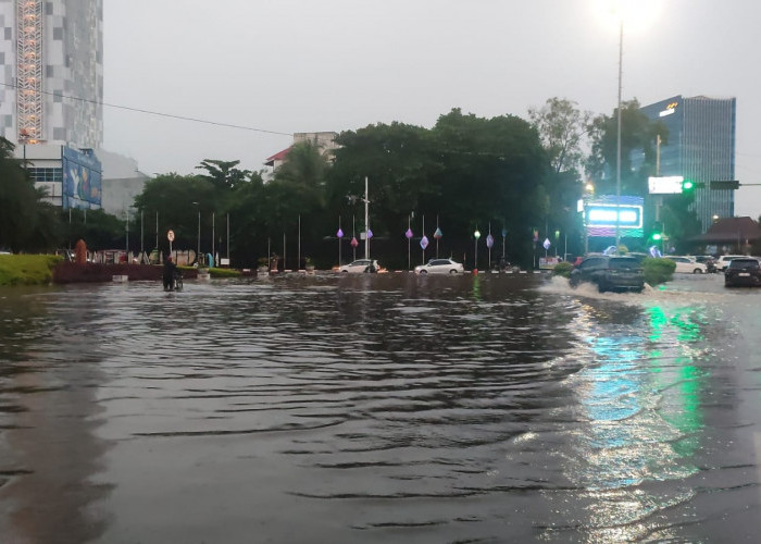 Jumlah Rawa Banyak Berkurang Jadi Penyebab Banjir di Palembang, Hanya Tersisa 2.000 Hektar