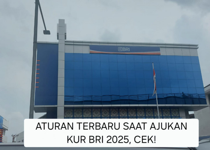 KUR BRI 2025 Kenakan Aturan Terbaru untuk Pinjaman Rp50juta, Apa itu?