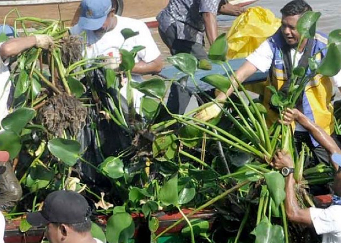 Beberes Sungai Musi Kumpulkan 3 Ton Sampah, Ajak Masyarakat Minimalisir Penggunaan Plastik