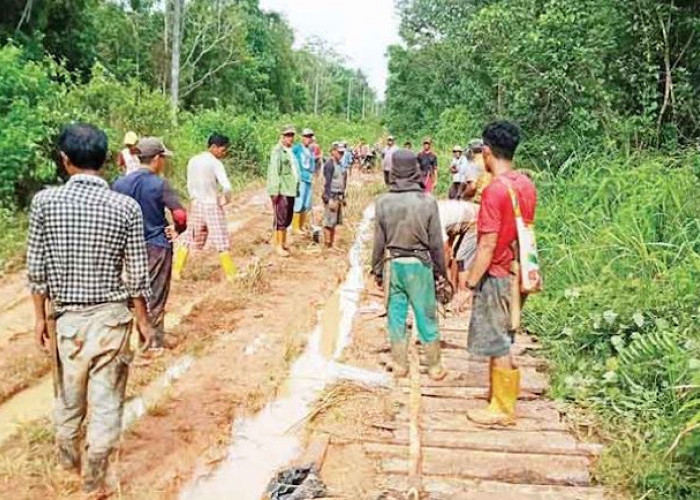 Jalan Desa Kuang Akses Desa Beringin Rusak Parah, Warga Bosan Gotong Royong, Hasilnya Sementara, Rusak Lagi 