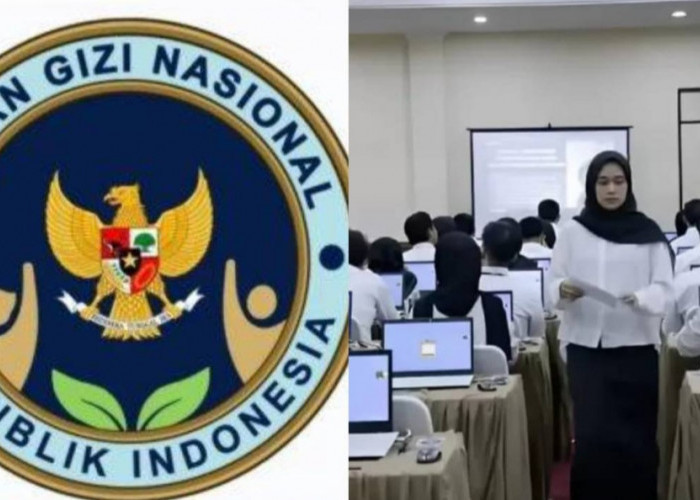 Peluang Baru, Badan Gizi Nasional akan Rekrut Ribuan Formasi CPNS 2025, Ini Syaratnya! 