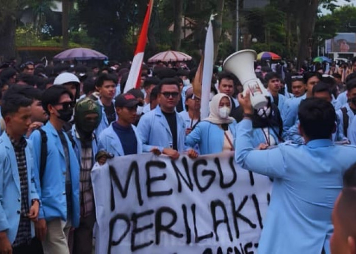 Paradoks Partai Politik dalam Sistem Presidensial Indonesia: Penggerak Demokrasi atau Sumber Krisis?