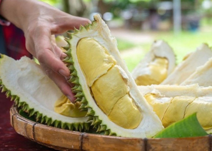Jangan Salah Pilih, Begini Cara Memilih Durian yang Matang dan Manis 