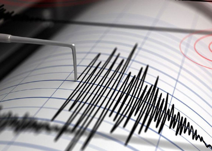 Gempa Landa Laut Mbay Negekeo NTT, BMKG Keluarkan Peringatan Tsunami di 3 Provinsi