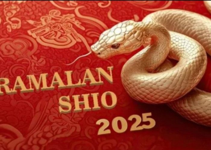 Yuk Intip Shio Apa Saja yang Kurang Beruntung di Tahun 2025, Nggak Nyangka Shio Ini Paling Sial