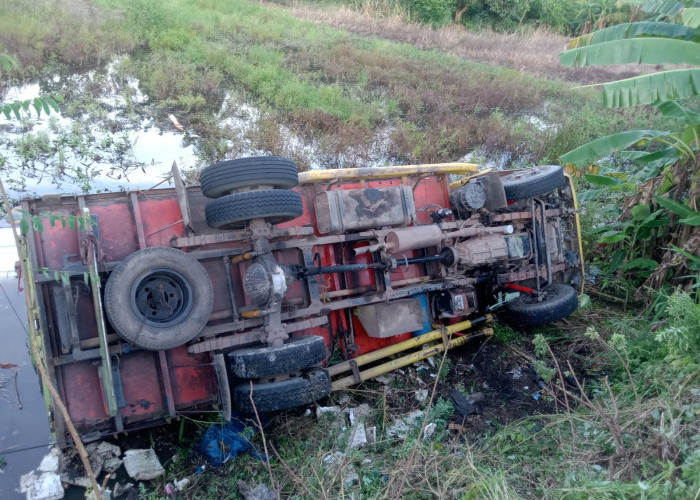 Diduga Ngantuk Truk Masuk Rawa-Rawa di Jalintim OKI, Sopir Meninggal Dunia