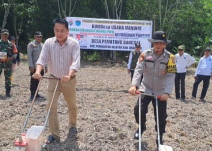 20 Kg Bibit Jagung Pipil Ditanam Polsek Pemulutan di Lahan Pertanian Desa Pematang Bangsal