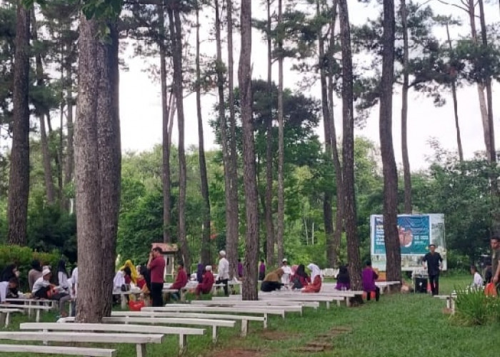 Lokasi Ditengah Kota Palembang, Tempat Wisata Ini Tawarkan Udara Sejuk dan Hutan Pinus Nan Asri