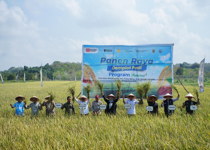 PT Pusri Laksanakan Panen Raya, Dorong Swasembada Pangan Berkelanjutan di Bangka Selatan