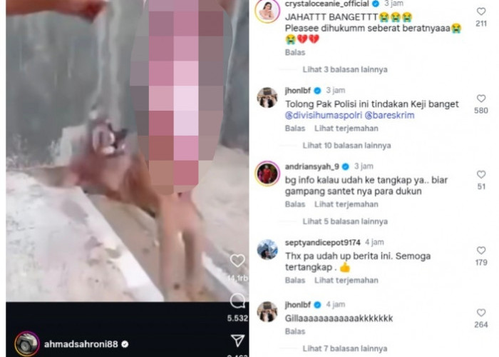 Viral! Video Anjing Dikuliti Hidup-Hidup di Sragen, Ahmad Sahroni Murka