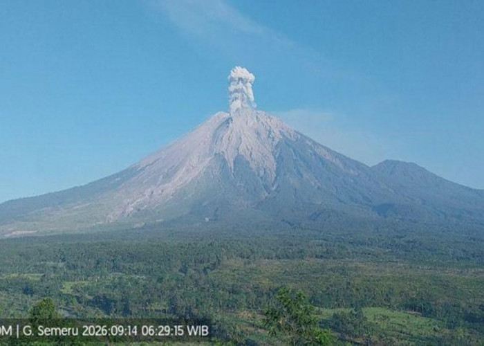 Gunung Semeru Erupsi 3 Kali Pagi ini, Ketinggian Kolom Abu Mencapai 1.000 Meter