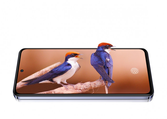 5 Fitur yang Membuat vivo Y100 5G Masih Layak Dibeli di 2026, Layar AMOLED 120Hz