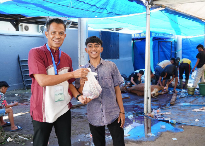 Maknai Iduladha 1446 H, PLN Hadirkan Kebahagiaan Lewat 2.811 Hewan Kurban
