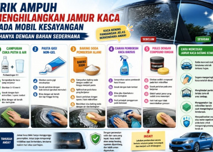 Trik Ampuh Menghilangkan Jamur Kaca Mobil Kesayangan Hanya dengan Bahan Sederhana