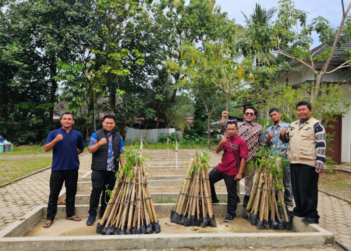 Transformasi Lahan Bekas Tambang Ilegal: PT Bukit Asam Tbk Dorong Ketahanan Pangan dan Kemandirian Desa Darmo