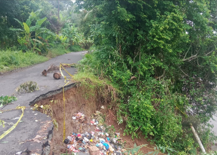 Jalan Penghubung 2 Desa di Ogan Ilir Longsor, Pengendara Diimbau Hati-Hati Saat Melintas