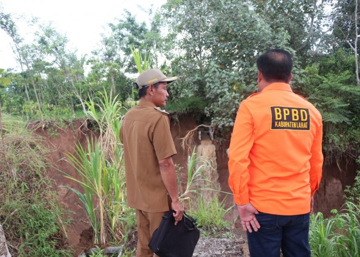 Irigasi Rusak Karena Longsor, 60 hektare Sawah di Lahat Kehilangan Air