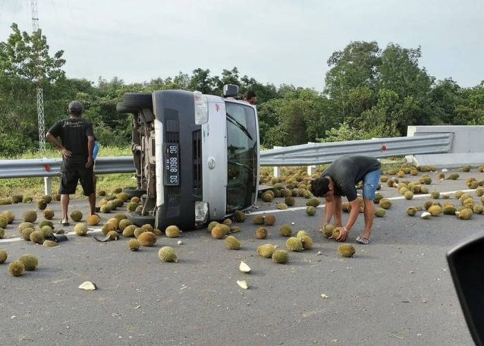Pikap Pengangkut Durian Terbalik di Tol Indralaya-Prabumulih Gegara Pecah Ban, Muatan Berhamburan ke Jalan