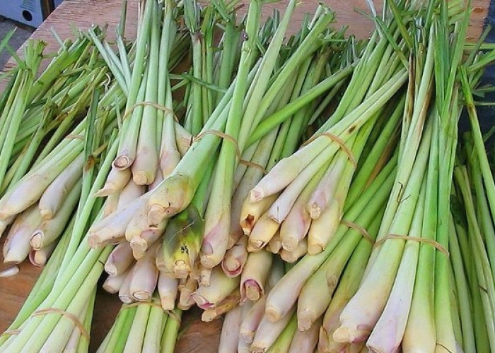 Cocok Dikonsumsi Usai Lebaran, Simak Resep Minuman Penurun Kolesterol Tinggi